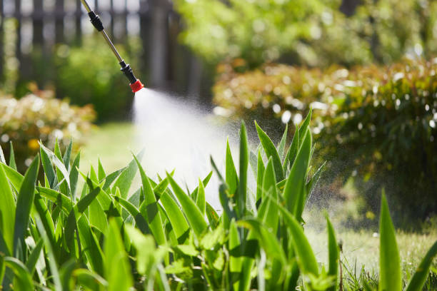 24/7 Emergency Mosquito Control experts in Wilson, PA